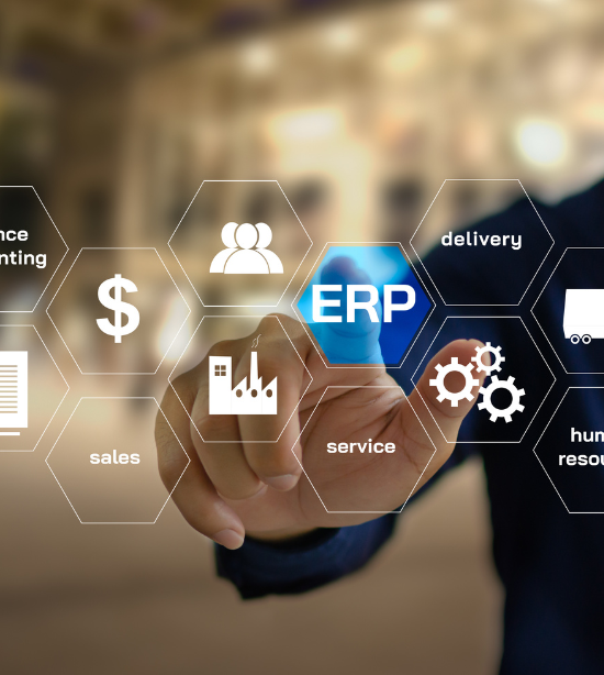 SAP ERP Services
